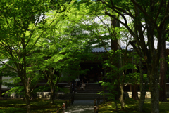 190626a大原三千院30
