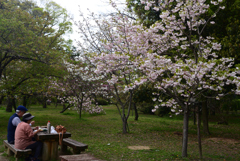 230411a京都植物園03