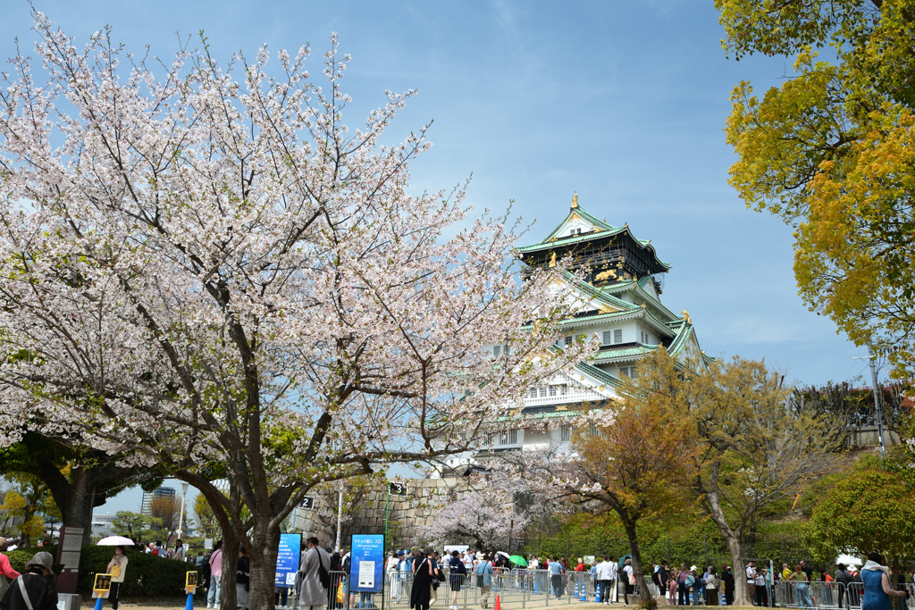 250408a大阪城36