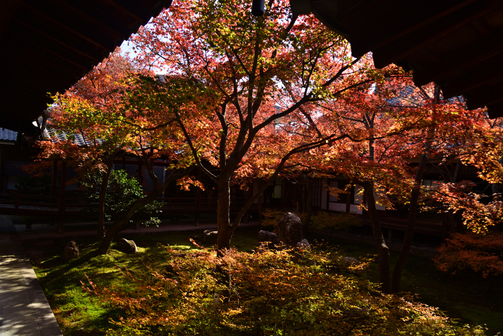 221212b建仁寺34
