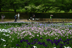 200609馬見丘陵公園23