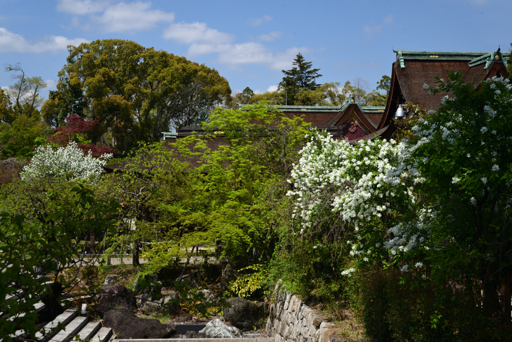 220412c北野天満宮61