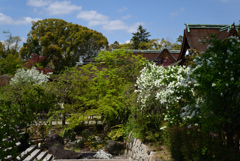 220412c北野天満宮61