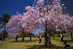 230401奈良公園21