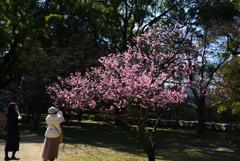 210224b京都御苑20