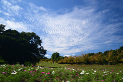 221014馬見丘陵公園52