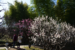 210220万博公園28