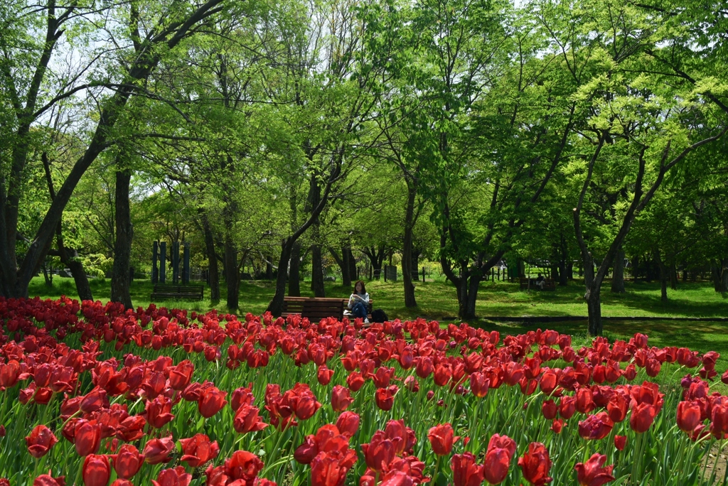 180426万博公園06