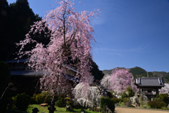 230329b大野寺27
