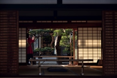 181127h妙覚寺76