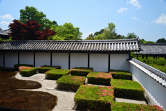 220522d東福寺42