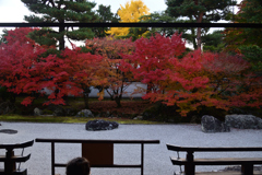 241203b相国寺33
