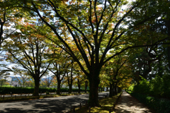 2501028京都植物園02