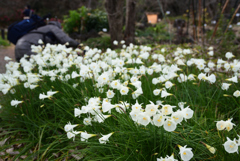 200119京都植物園05 200119京都植物園05
