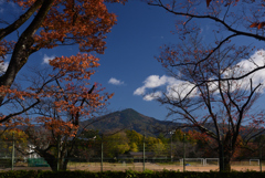 241125a京都植物園02