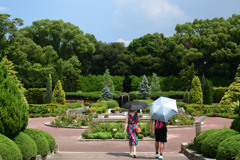 250814京都植物園04