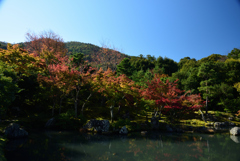 191109a天龍寺21