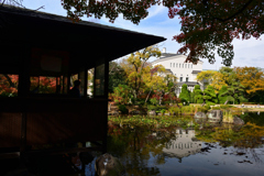 221122慶沢園09