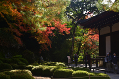 221127b知恩院18