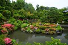 230604a等持院18