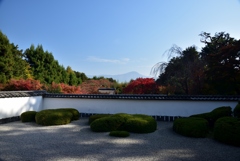 181127a正伝寺22