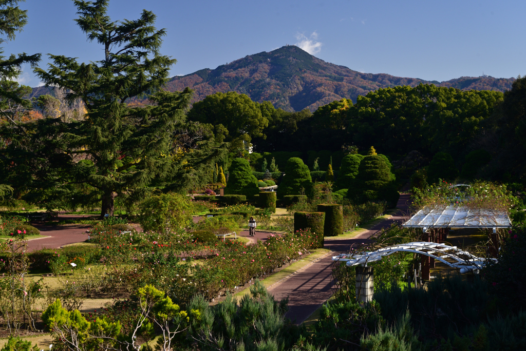 221203a京都植物園03
