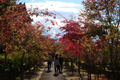 211111a仁和寺22