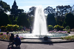 241125a京都植物園07