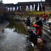 180103a下鴨神社15