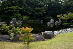 180924a万博公園30+