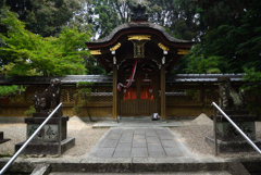 200808a水度神社03