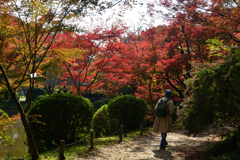 251114a京都植物園28