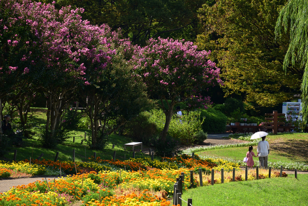 210925長居植物園35