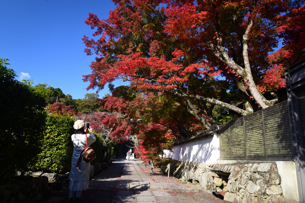 221112b満願寺23