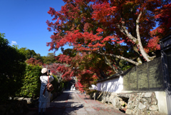221112b満願寺23