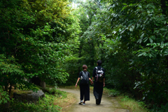 2501013a梅小路公園32