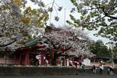 250406c富士山本宮浅間大社02