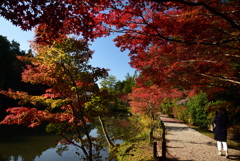 201108円成寺08