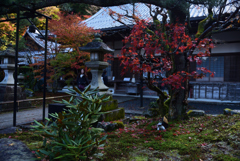 191129c南禅寺53