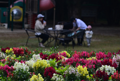 241025京都植物園52