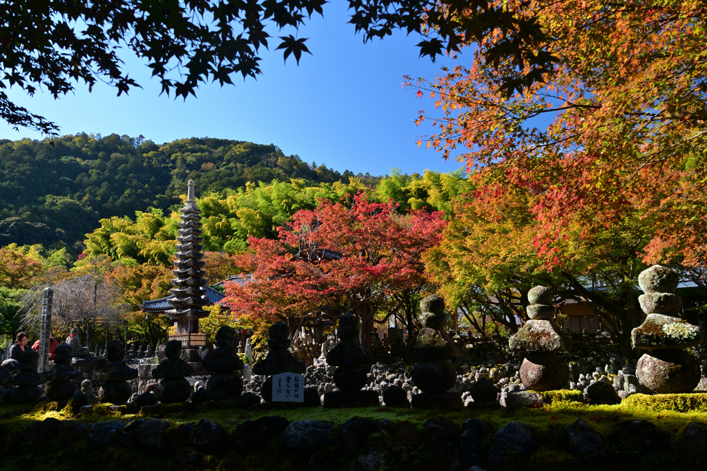 231114c化野念仏寺22