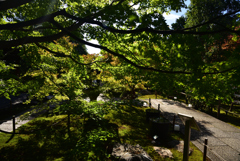 191028b勝林寺27