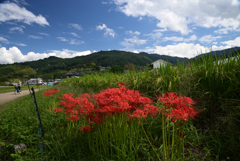 210920b明日香祝戸07