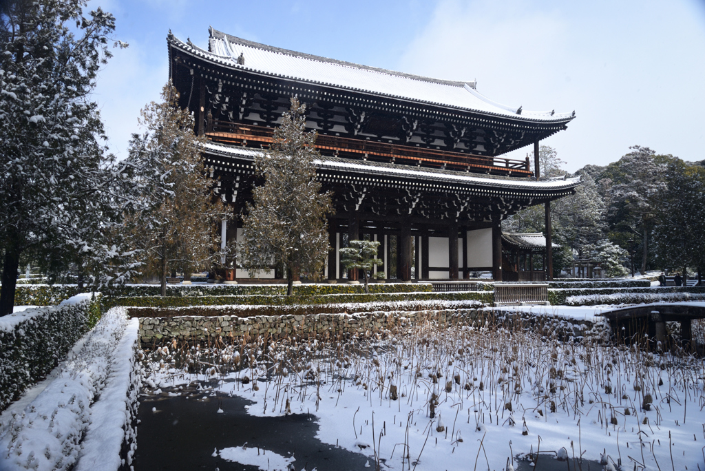 250208a東福寺51