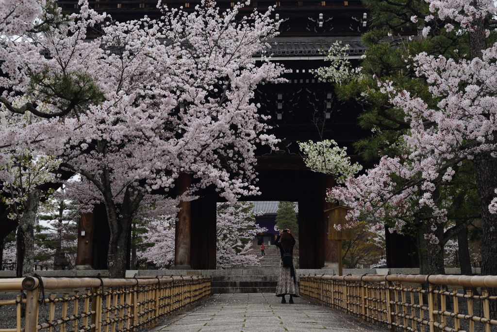 210330b金戒光明寺30