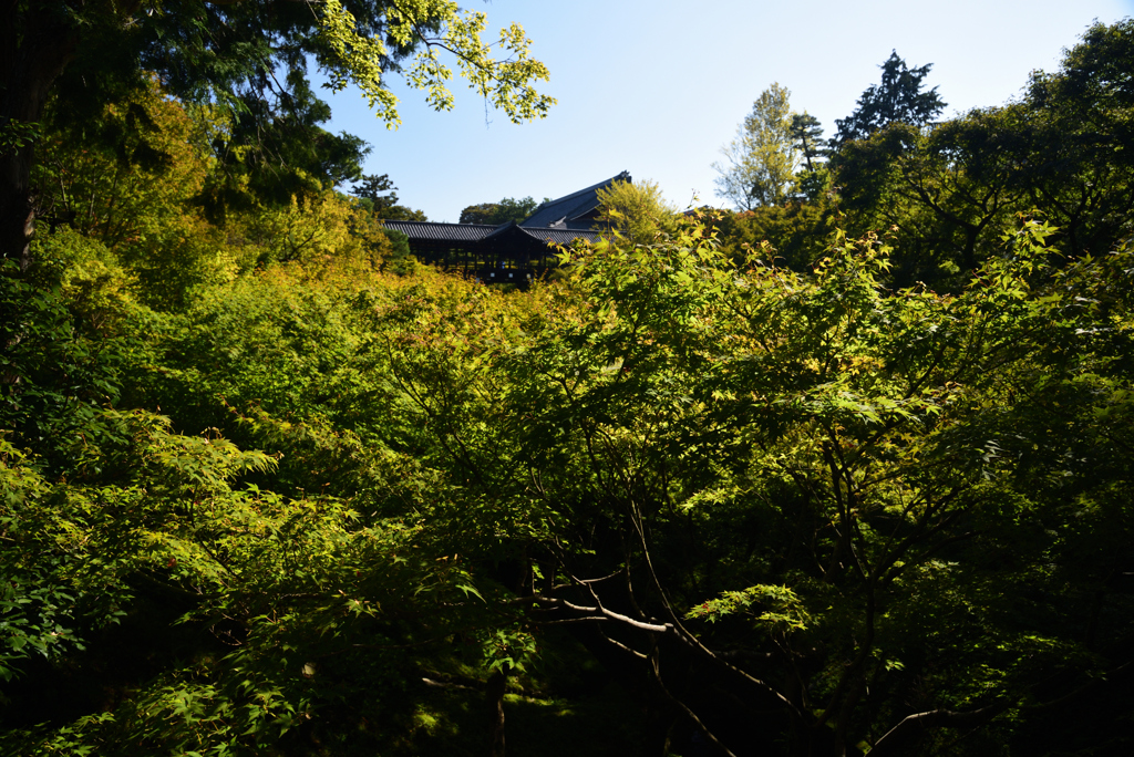 191028a東福寺05