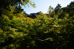 191028a東福寺05