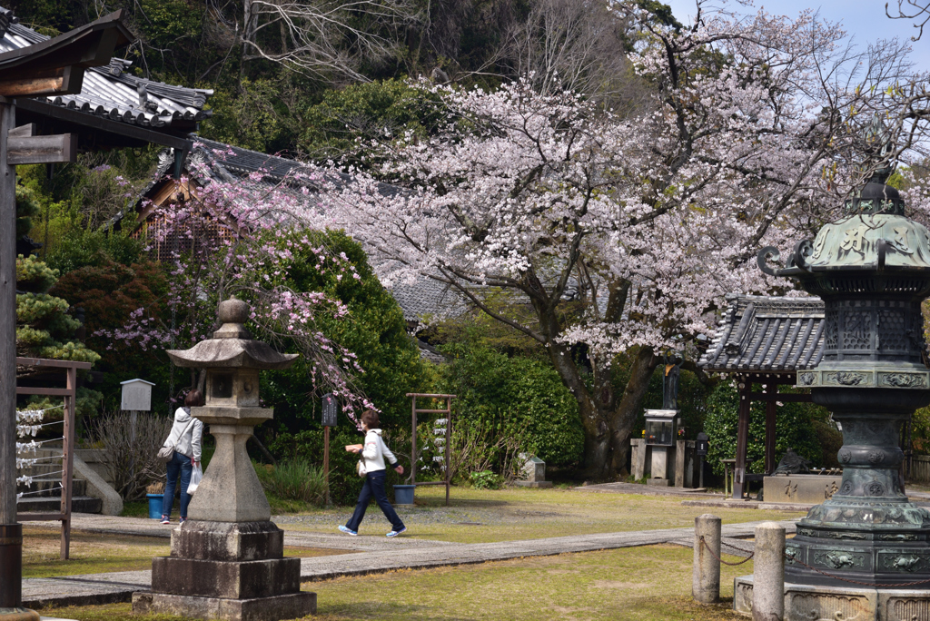 200403d山崎聖天23