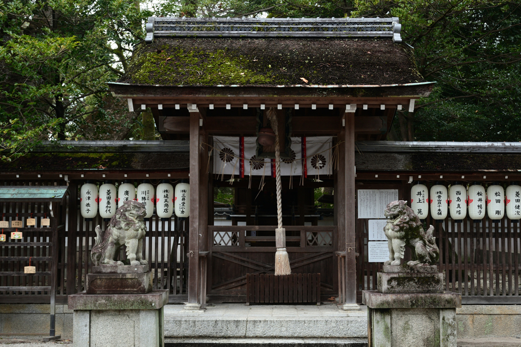 250202京都御苑02