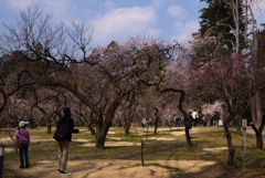 220312a京都植物園21
